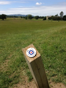 On the RAF Walk, looking towards Croome Court, June 2013